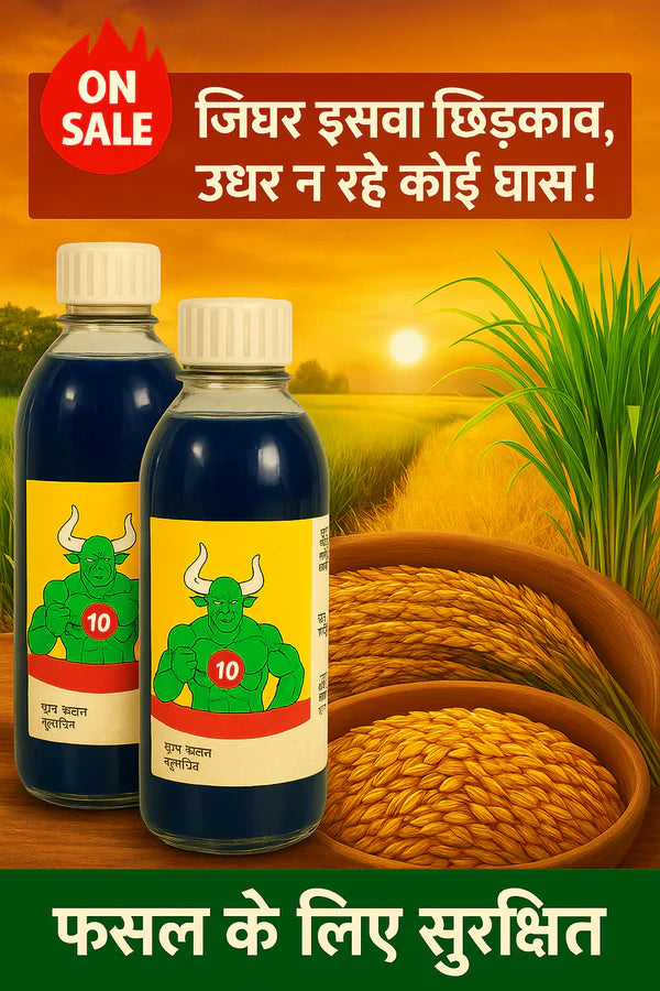𝗛𝗶𝗴𝗵 𝗖𝗼𝗻𝗰𝗲𝗻𝘁𝗿𝗮𝘁𝗶𝗼𝗻 𝗚𝗹𝘂𝗳𝗼𝘀𝗶𝗻𝗮𝘁𝗲 𝗛𝗲𝗿𝗯𝗶𝗰𝗶𝗱𝗲 💥💥(𝗕𝘂𝘆 𝟭 𝗚𝗲𝘁 𝟭 𝗙𝗿𝗲𝗲)💥💥