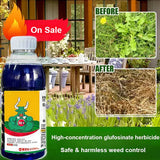 High-Concentration Glufosinate Herbicide For Types Of All Unwanted Grass🌿(Today Offer Buy 1 Get 1 Free)
