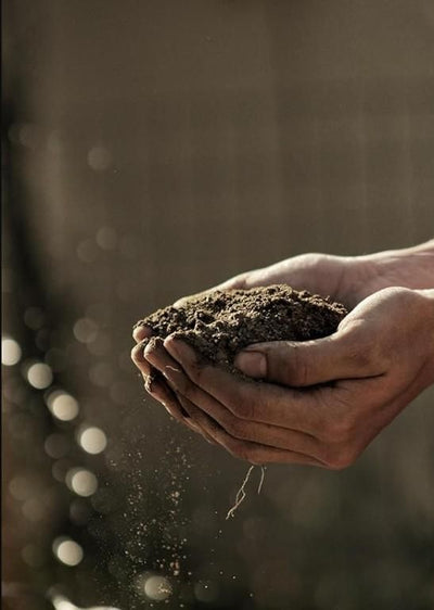 Organic Vermicompost🔥LIMITED TIME OFFER🔥 500 Gram