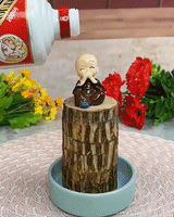 Lucky Brazil Wood Potted Plant | 🔥 BUY 1 GET 3 FREE- OFFER ONLY FOR TODAY🔥SRSR