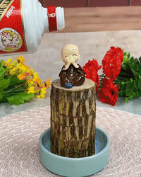 Lucky Brazil Wood Potted Plant | 🔥 BUY 1 GET 3 FREE- OFFER ONLY FOR TODAY🔥SRSR