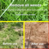 High-Concentration Glufosinate Herbicide For Types Of All Unwanted Grass🌿(Today Offer Buy 1 Get 1 Free)