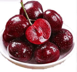 Rainier Cherry Fruit Seeds | 🍒Flat 50% Savings🍒 ( Buy 1 Get 1 Free )-200 Seeds