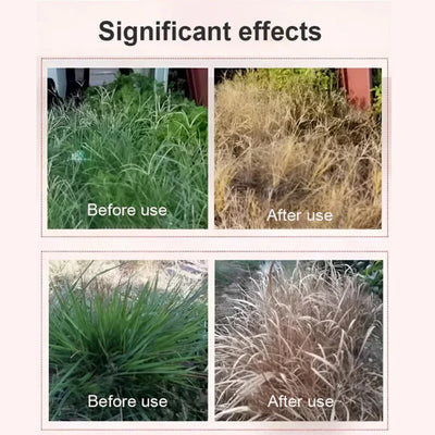 High-Concentration Glufosinate Herbicide For Types Of All Unwanted Grass🌿(Today Offer Buy 1 Get 1 Free)
