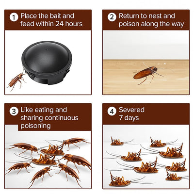 🌿100% Plant Based Japan Combat Roach Killing Bait station ❌🐜 (Pack of 2)