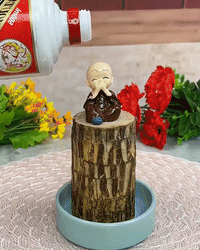 Lucky Brazil Wood Potted Plant | 🔥 BUY 1 GET 3 FREE- OFFER ONLY FOR TODAY🔥