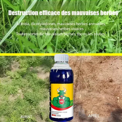 High-Concentration Glufosinate Herbicide For Types Of All Unwanted Grass🌿(Today Offer Buy 1 Get 1 Free)