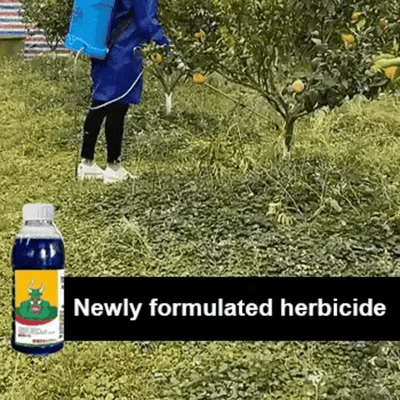 𝗛𝗶𝗴𝗵 𝗖𝗼𝗻𝗰𝗲𝗻𝘁𝗿𝗮𝘁𝗶𝗼𝗻 𝗚𝗹𝘂𝗳𝗼𝘀𝗶𝗻𝗮𝘁𝗲 𝗛𝗲𝗿𝗯𝗶𝗰𝗶𝗱𝗲 💥💥(𝗕𝘂𝘆 𝟭 𝗚𝗲𝘁 𝟭 𝗙𝗿𝗲𝗲)💥💥